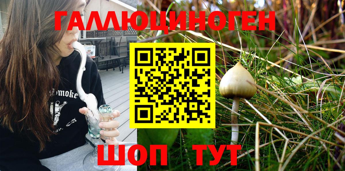 Галлюциногенные грибы Psilocybine cubensis  Вход с VPN  Минеральные Воды 